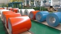 보호 PVDF 필름 laminated 선발 페인트 알루미늄 코일 우아하고 오래 지속 보호